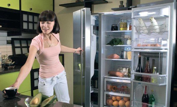Fridge in the kitchen