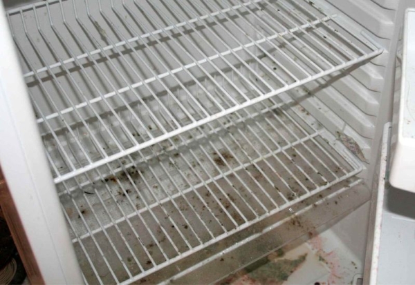 Mold in the fridge Mold in the fridge
