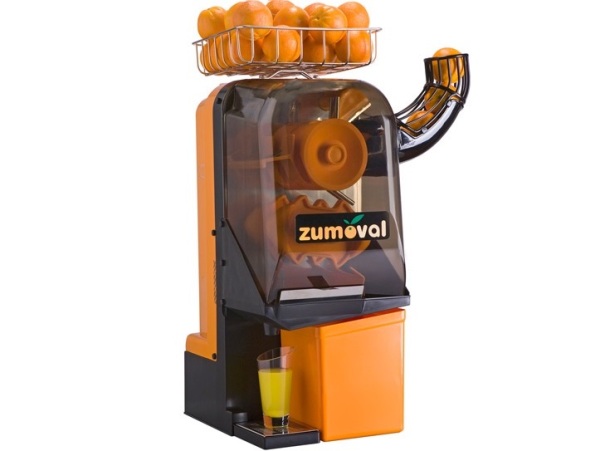 Professional Juicer