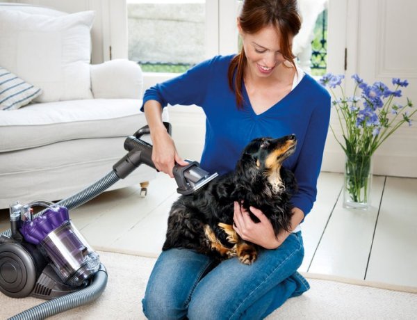 Vacuuming your dog