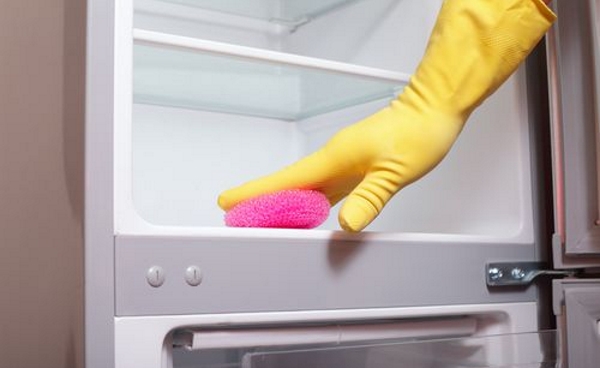 Refrigerator cleaning How to clean the fridge?