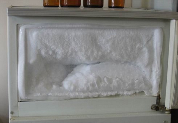 Snow growths in the freezer Freezer