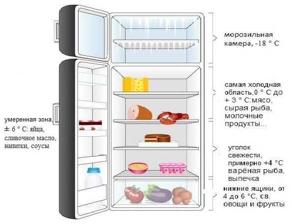 Temperature zones of the single-chamber refrigerator Temperature zones of the single-chamber refrigerator