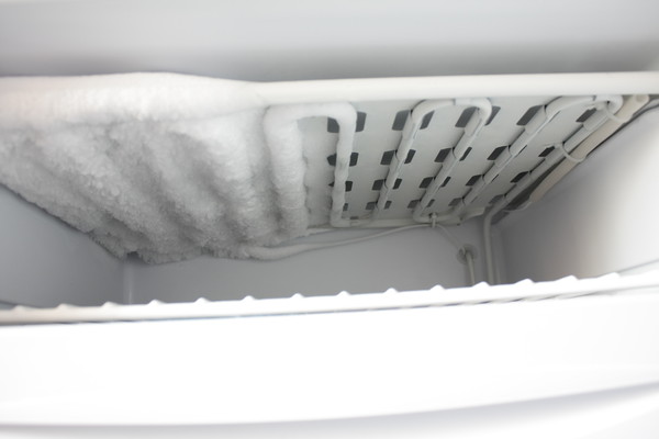 Freezer Freezer