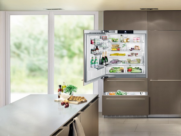 Built-in fridge Refrigerator in the interior
