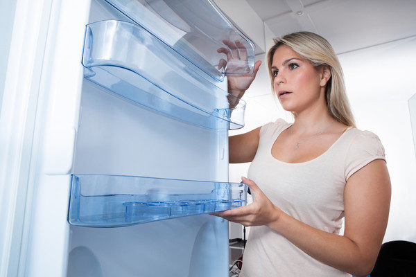 Shelves on the refrigerator door