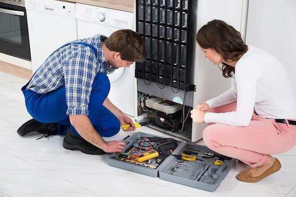 Master is looking for a malfunction Repair a faulty refrigerator