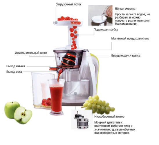Auger Juicer Device Auger Juicer Device
