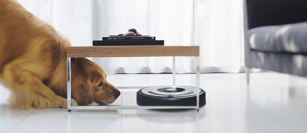 Vacuum cleaner Irobot in the apartment