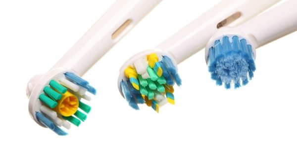 Species Toothbrush Types