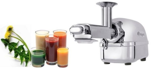 Juicer food processing