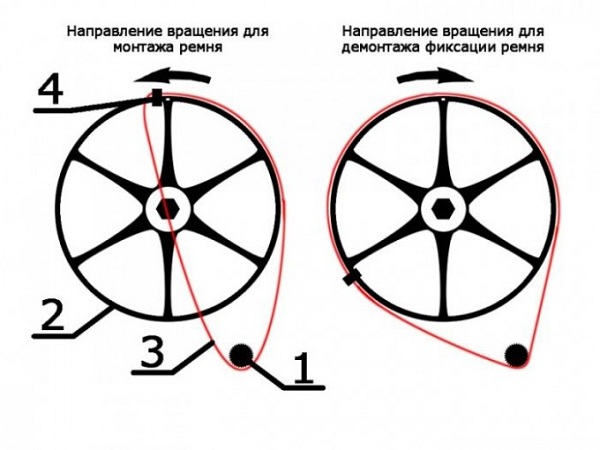 Belt