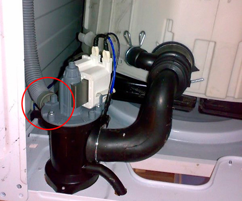 Hose and pump
