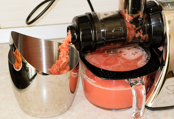 Horizontal Auger Juicer