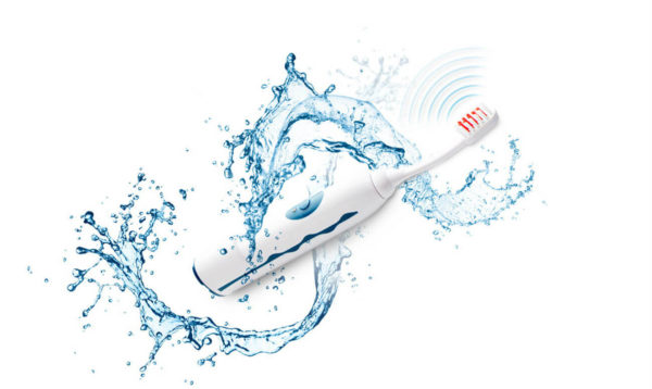 Ultrasound model Ultrasonic toothbrush