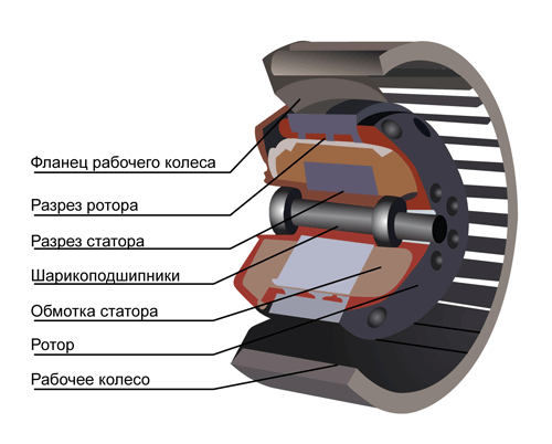 Radial