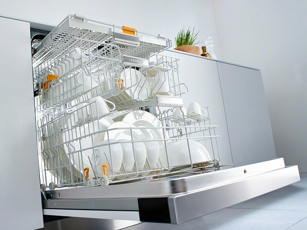 Dishwasher with dishes