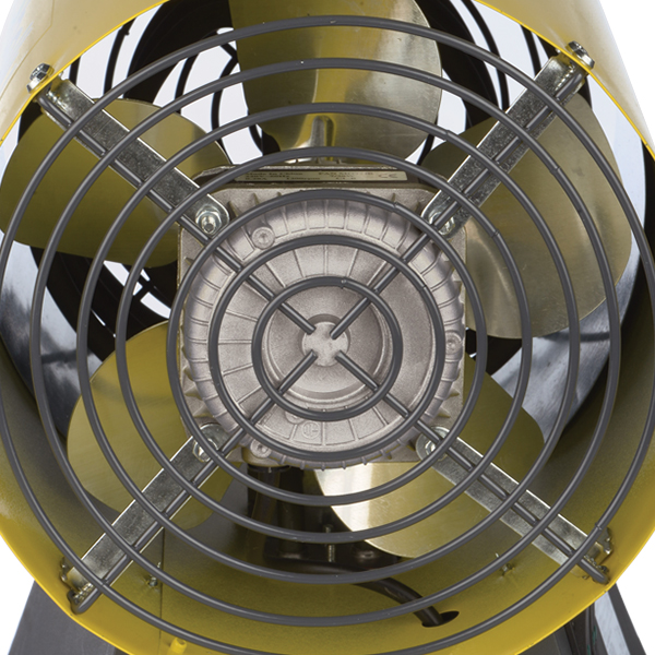 Fan