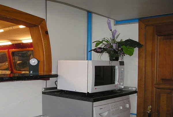 Microwave and washing machine