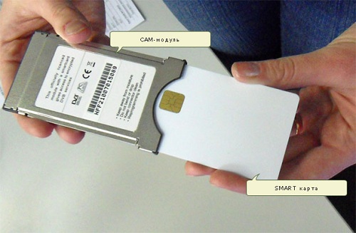 Module and card