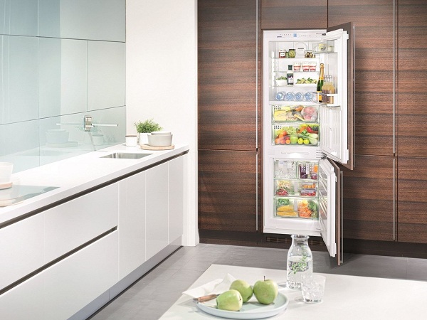 Built-in fridge