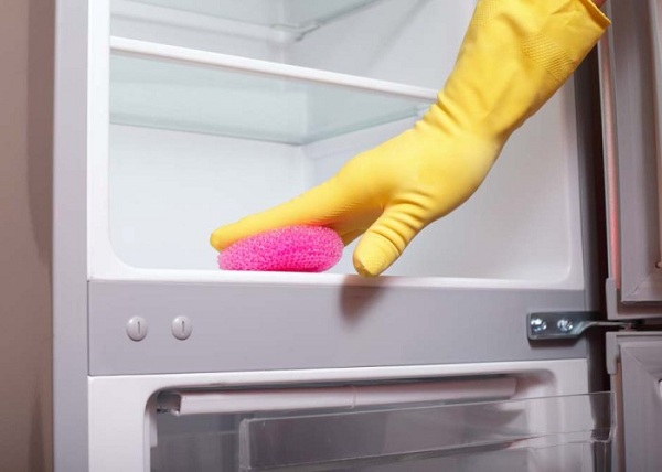 Refrigerator care