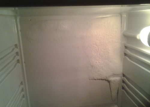 Snow coat
