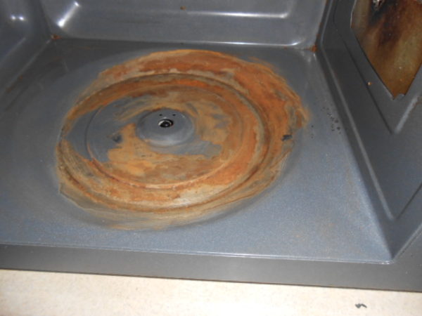 Microwave Enamel Defects