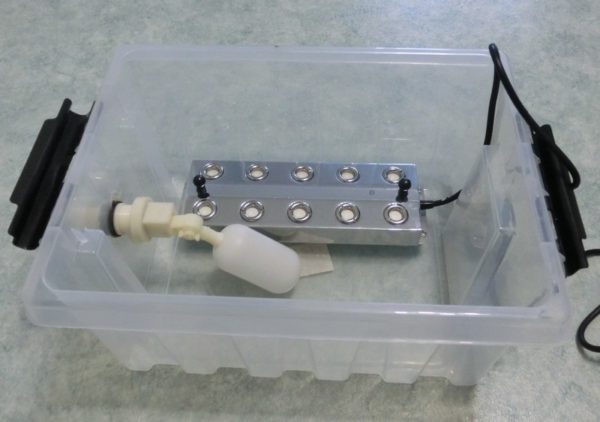 Humidifier from the container