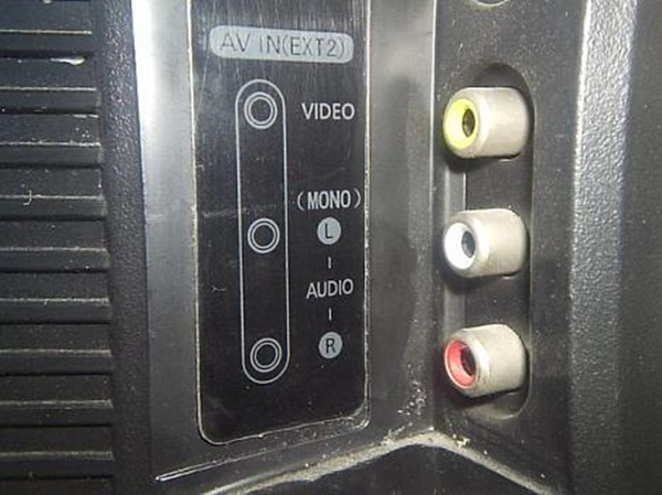 Tulip connectors