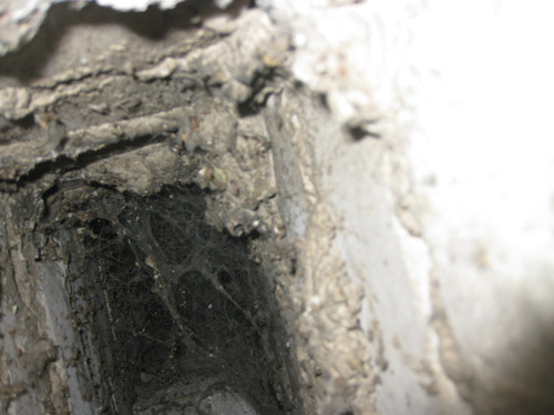 Polluted chimney
