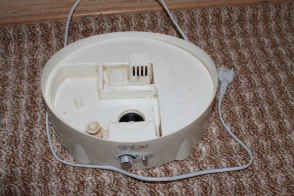 Mold on the humidifier