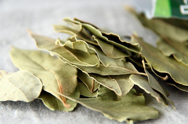 Bay leaf