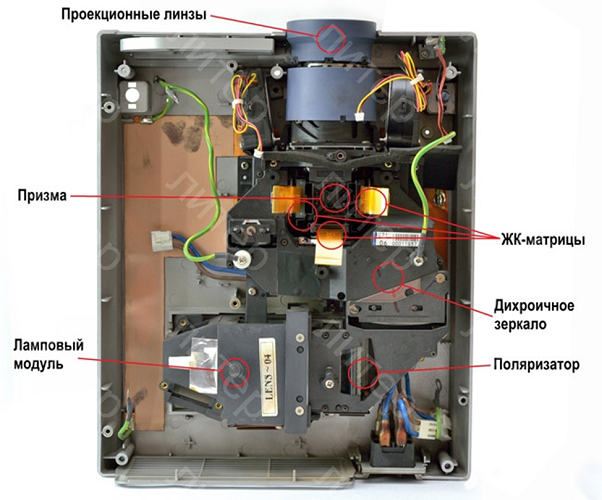 Projector device