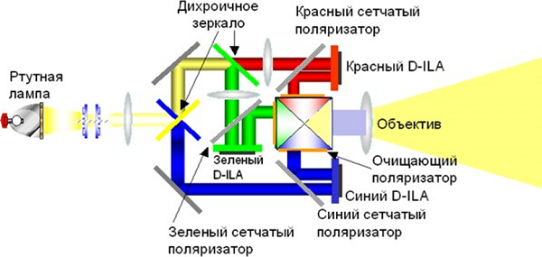 D-ILA apparatus