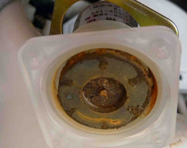Impeller magnet