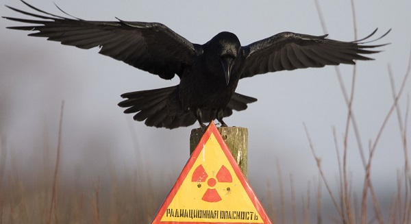 Radiation hazard sign