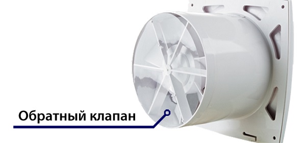 Check valve