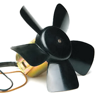 Fan