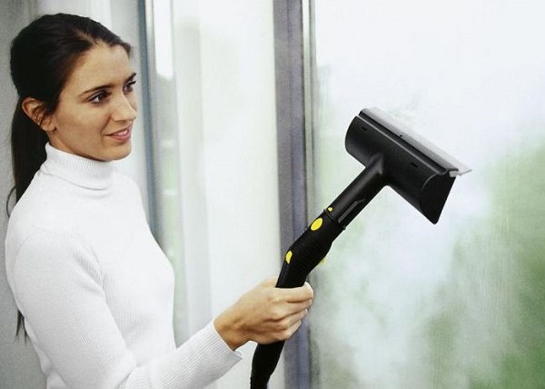 Steam generator for windows
