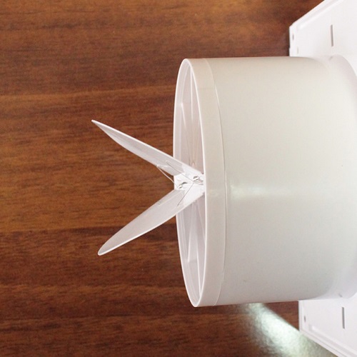 Fan with check valve