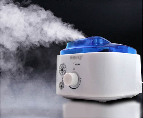 Steam humidifier