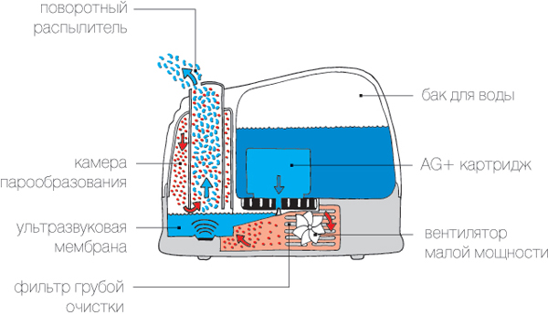 The scheme of the ultrasonic humidifier