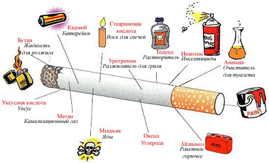 Cigarette smoke ingredients