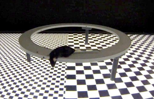 Virtual reality mouse