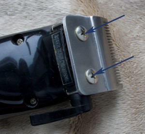 Self tapping screws