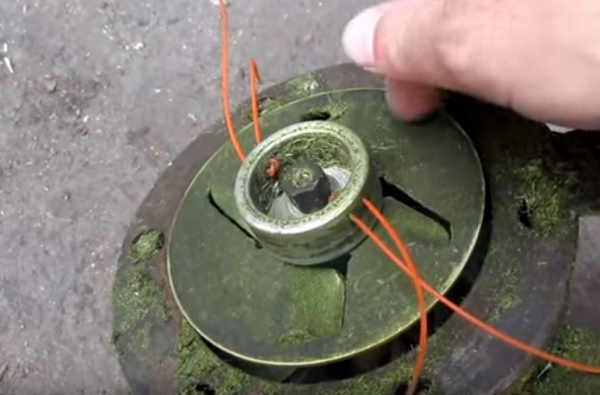 Disc with cut blades