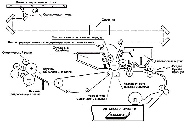 Principle of operation of the apparatus