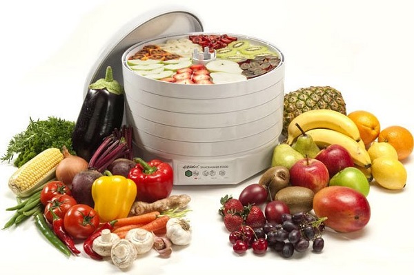 Vertical dehydrator