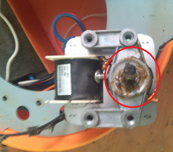 Motor Inspection
